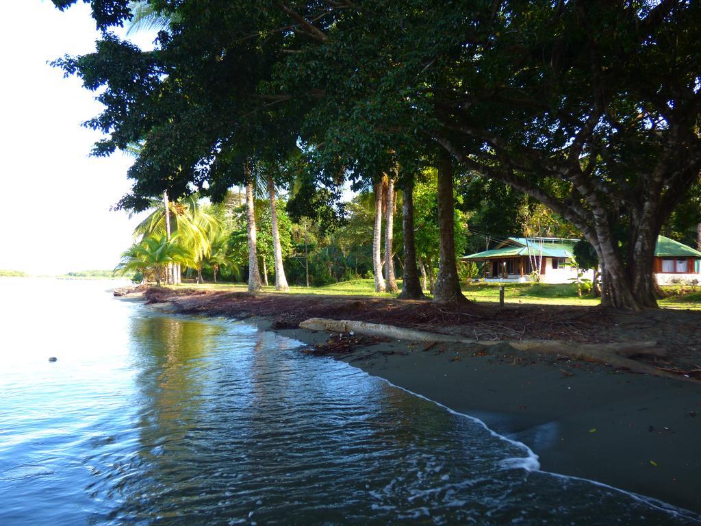 Corcovado Beach Lodge Puerto Jimenez Luaran gambar