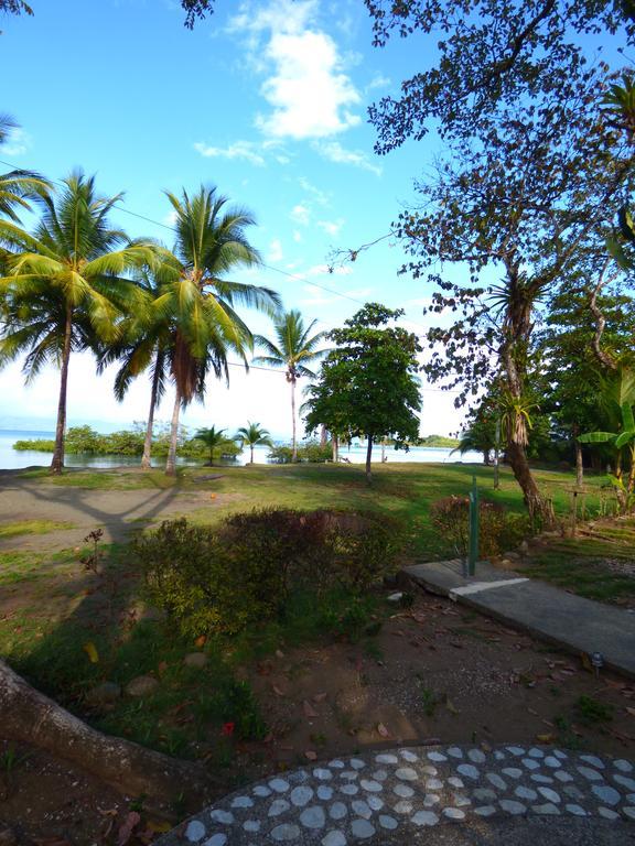 Corcovado Beach Lodge Puerto Jimenez Luaran gambar