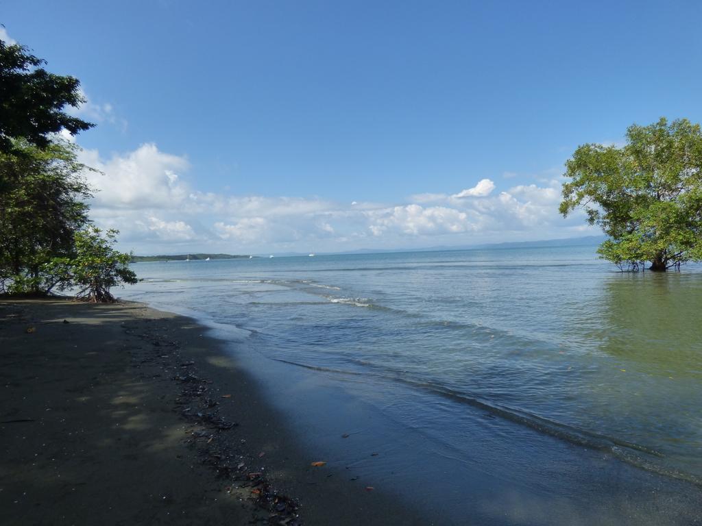 Corcovado Beach Lodge Puerto Jimenez Luaran gambar