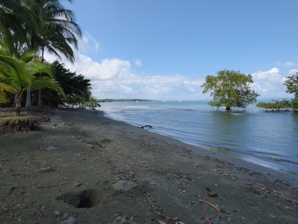 Corcovado Beach Lodge Puerto Jimenez Luaran gambar