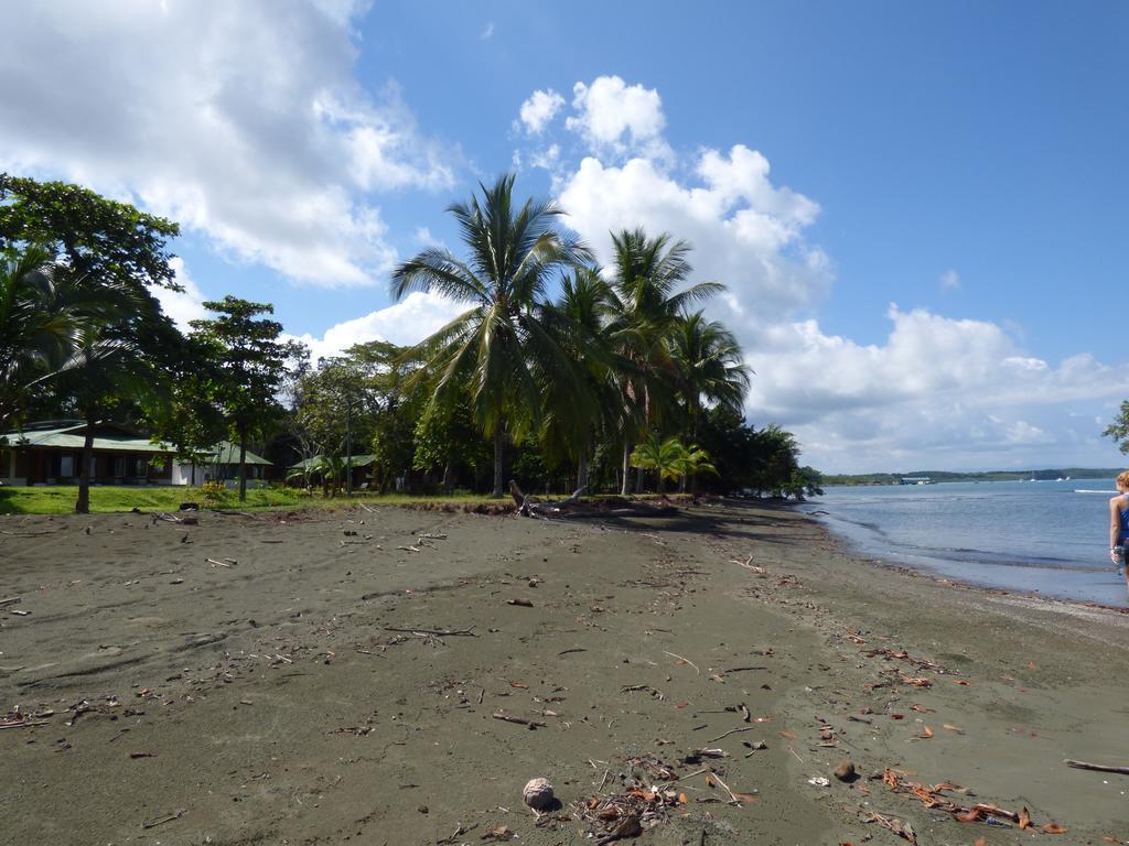 Corcovado Beach Lodge Puerto Jimenez Luaran gambar