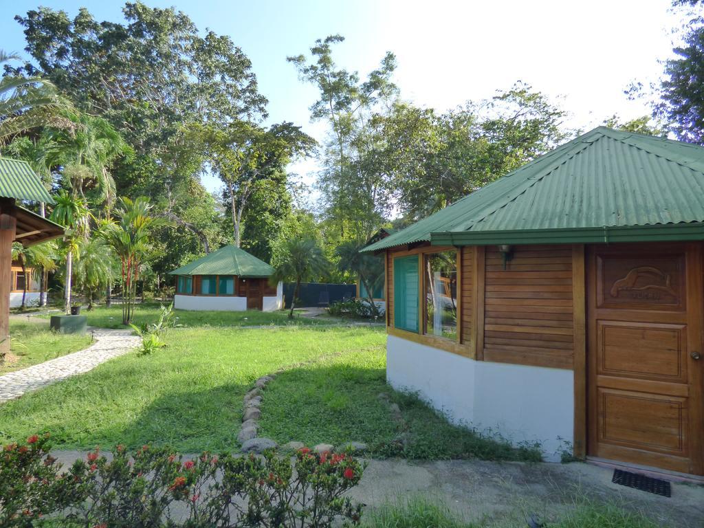 Corcovado Beach Lodge Puerto Jimenez Luaran gambar