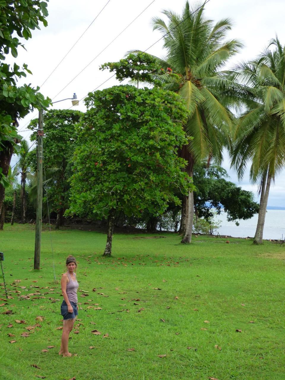 Corcovado Beach Lodge Puerto Jimenez Luaran gambar